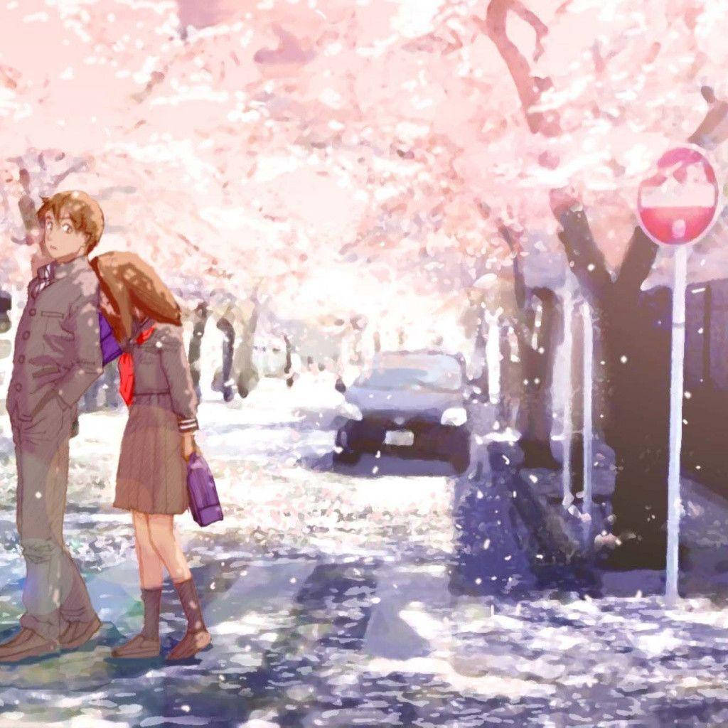 Paarmit Sakura-bäumen Lieben Anime. Wallpaper