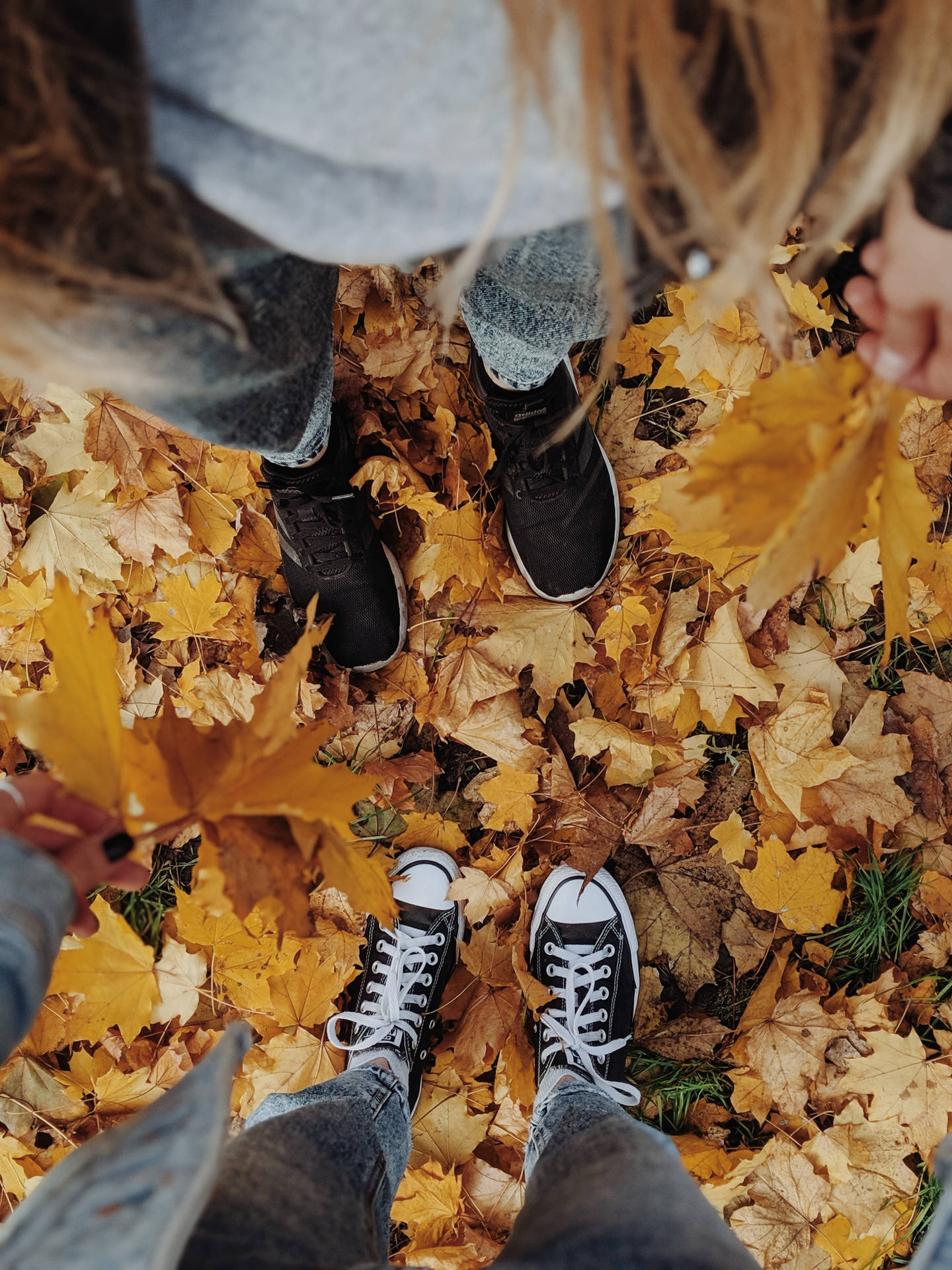 Couples Standing On Fall Leaves Wallpaper
