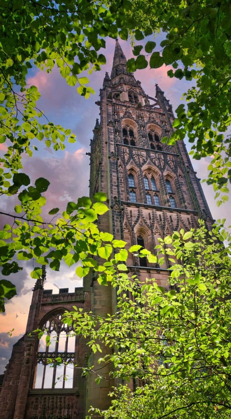 Coventry Cathedral Tower Through Trees.jpg Wallpaper