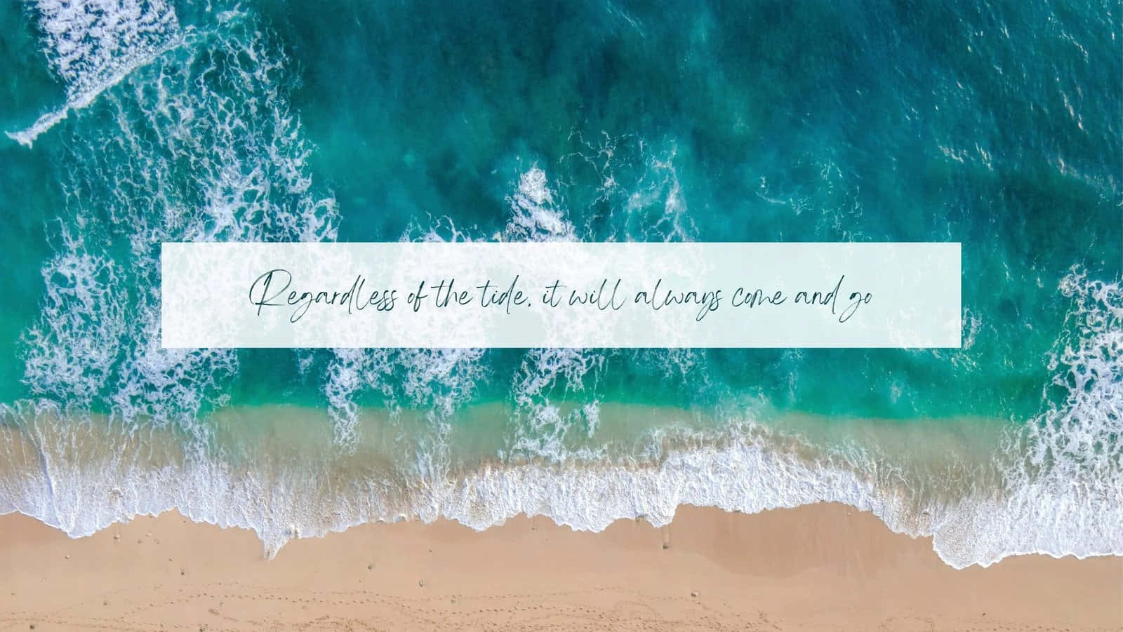 A Beach With A Quote That Says,'the Ocean Is The Only Place You Can See Yourself