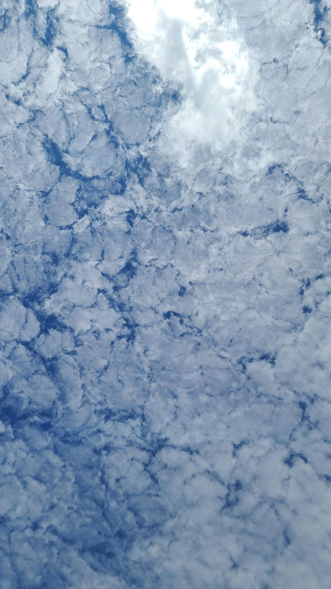 Covered Sky View Wallpaper