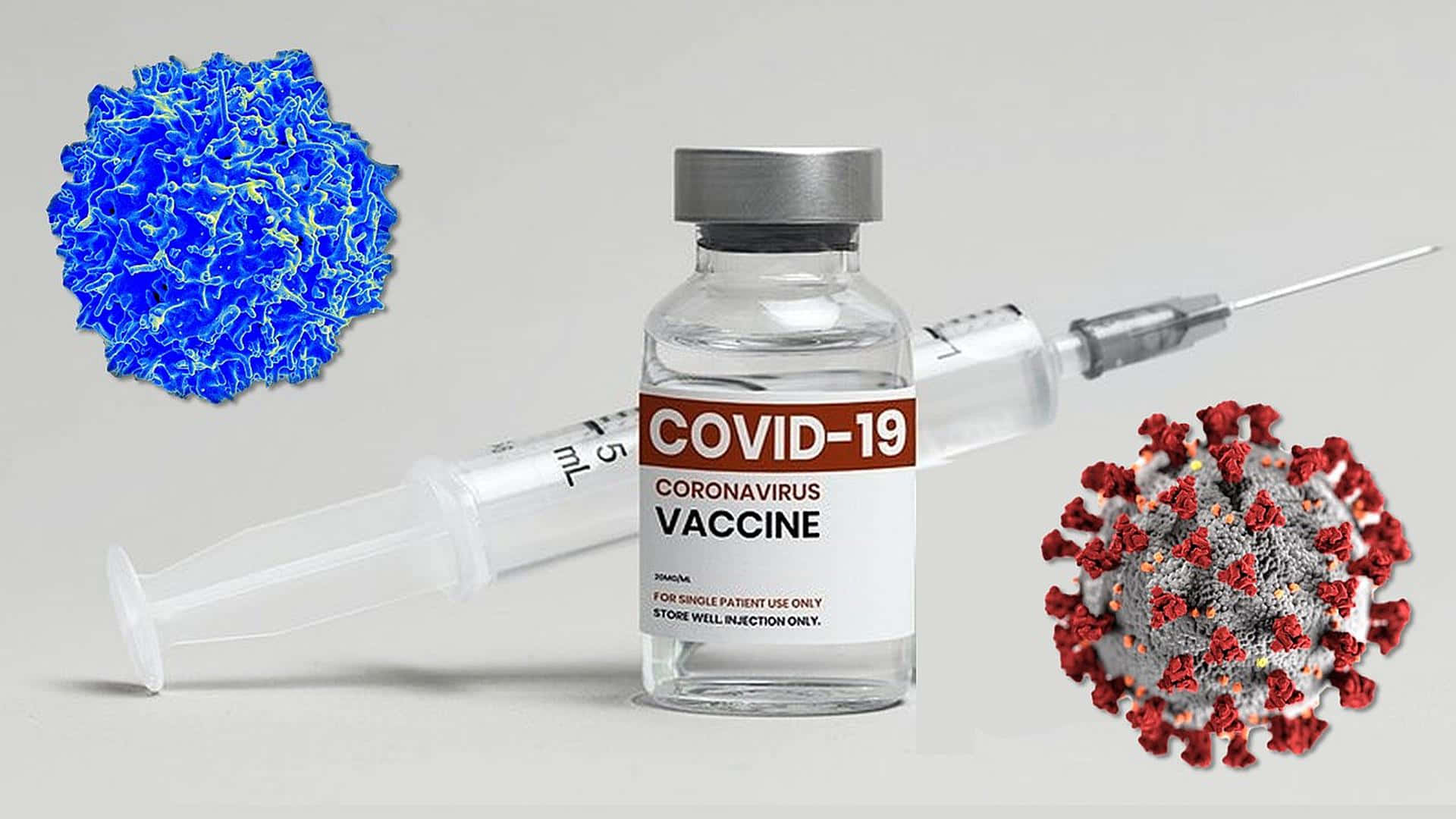 COVID-19 Coronavirus Vaccine Live Tapet Wallpaper