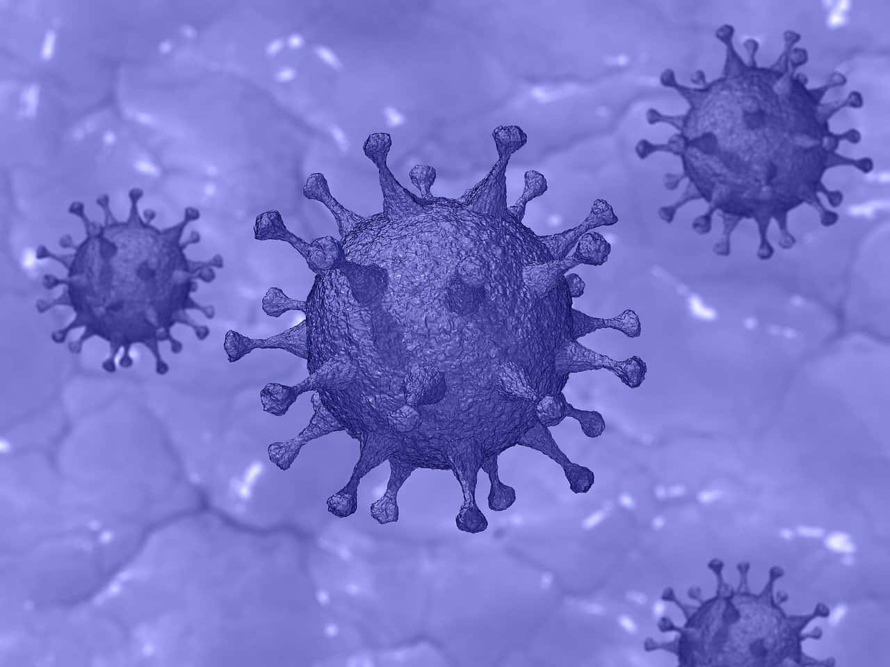 Coronavirusen Un Fondo Azul