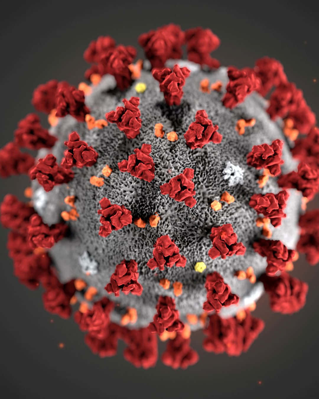 Coronavirus Virus In A Red And Black Background