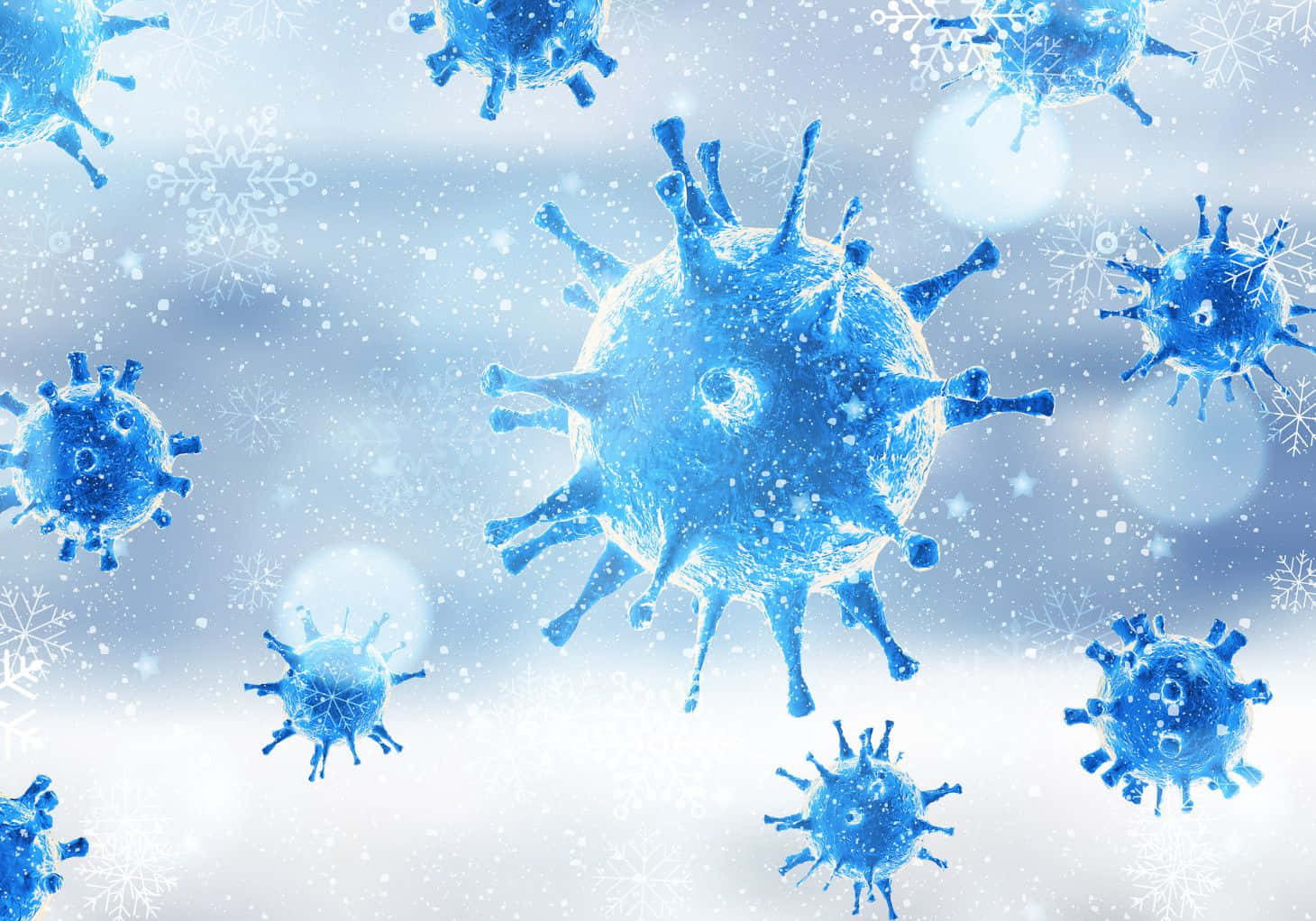 Coronaviruses In The Snow