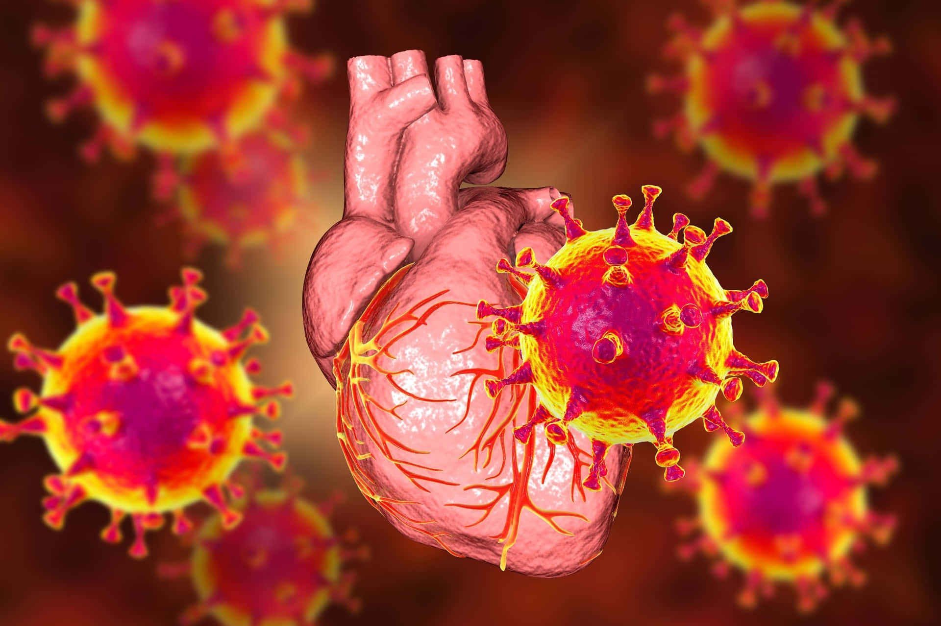 Coronaviruses Surround A Heart