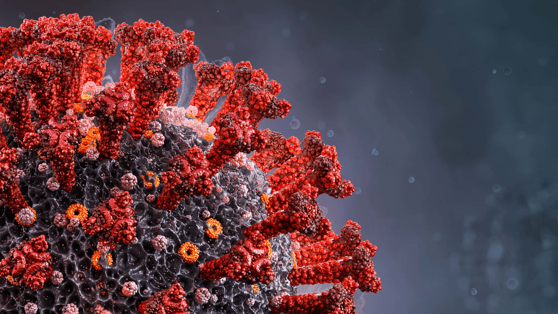 Coronavirus Virus In A Red And Black Background