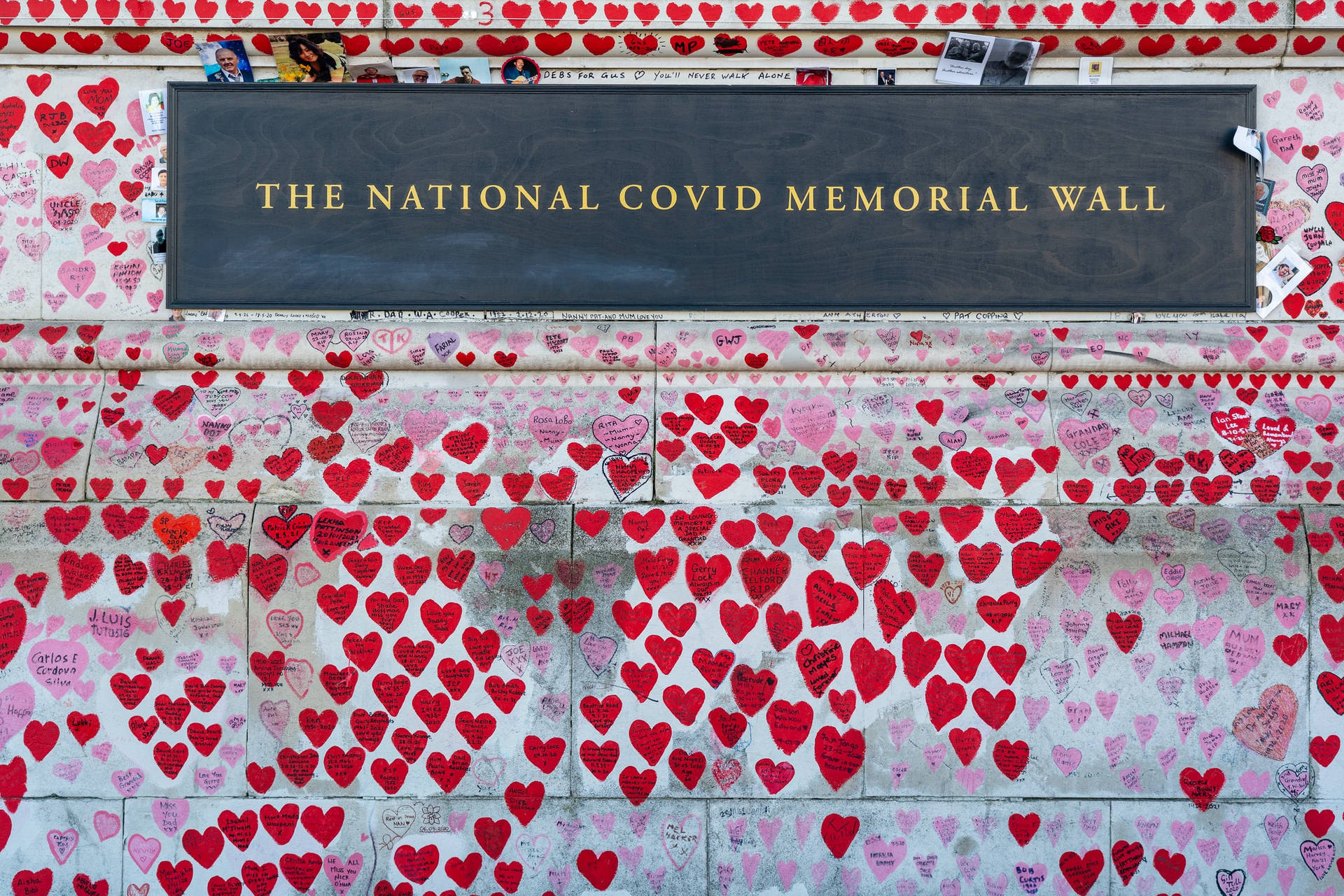 Covid Memorial Wall Remembrance Day Wallpaper