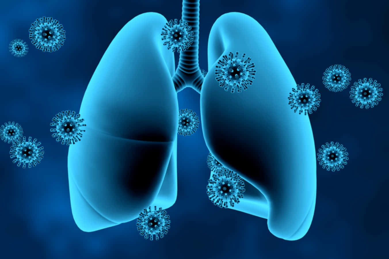 Imágenesde Pulmones Afectados Por El Covid