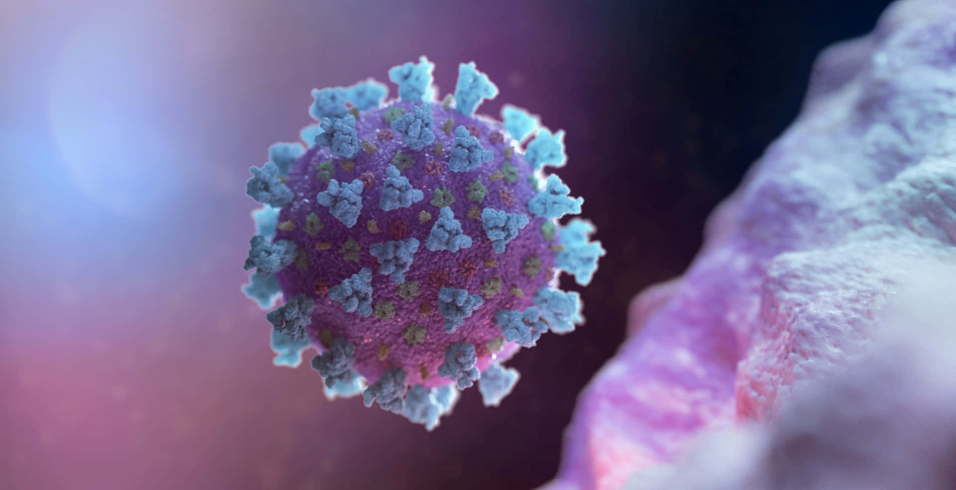 Imágenesdel Virus Covid