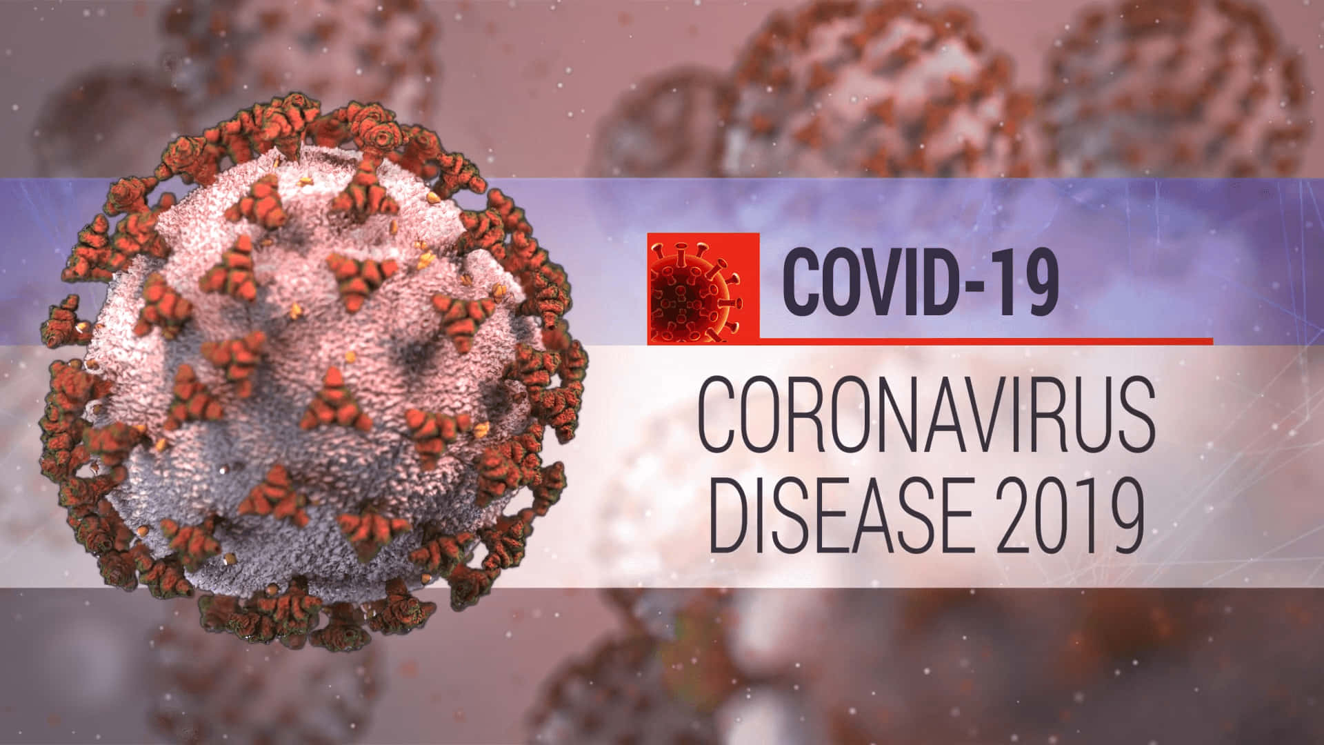 "A powerful depiction of the COVID-19 virus under the microscope"