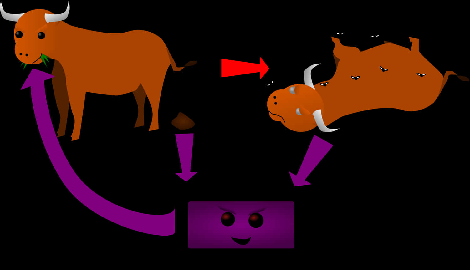Cow Digestion Process Illustration PNG
