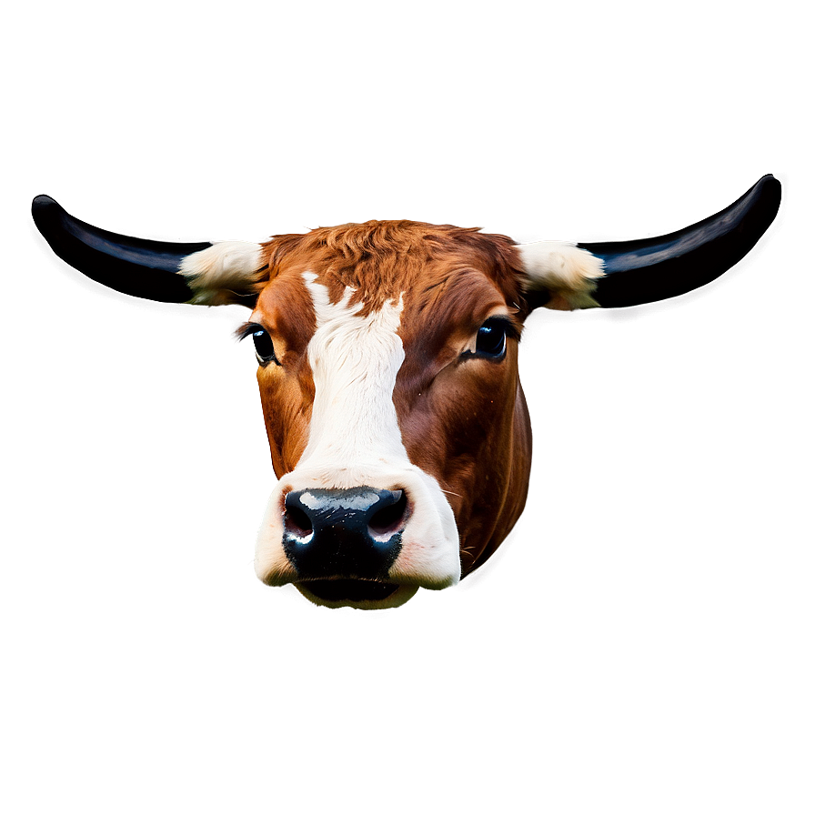 Cow Face With Bow Png Rcx37 PNG