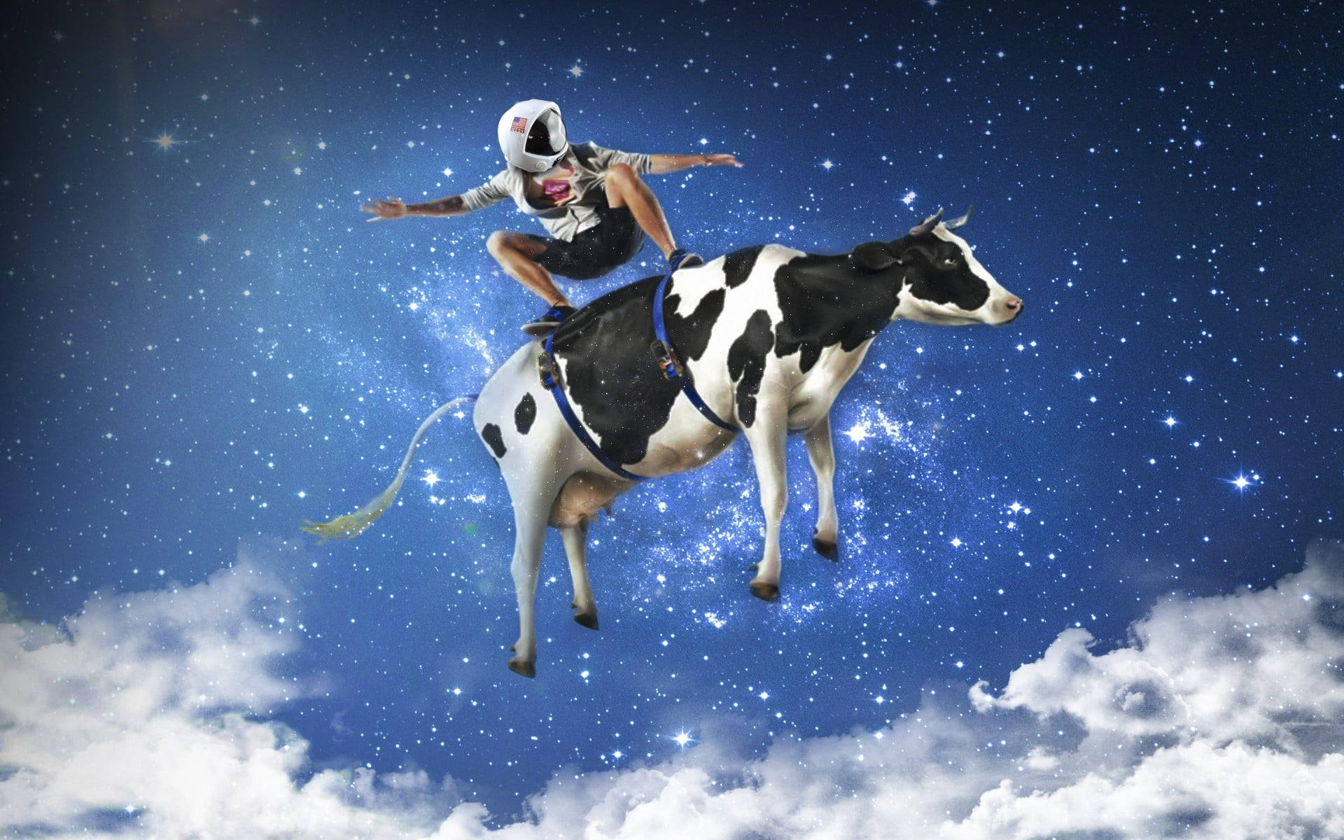 Cow In Space Photoshop Hd Wallpaper