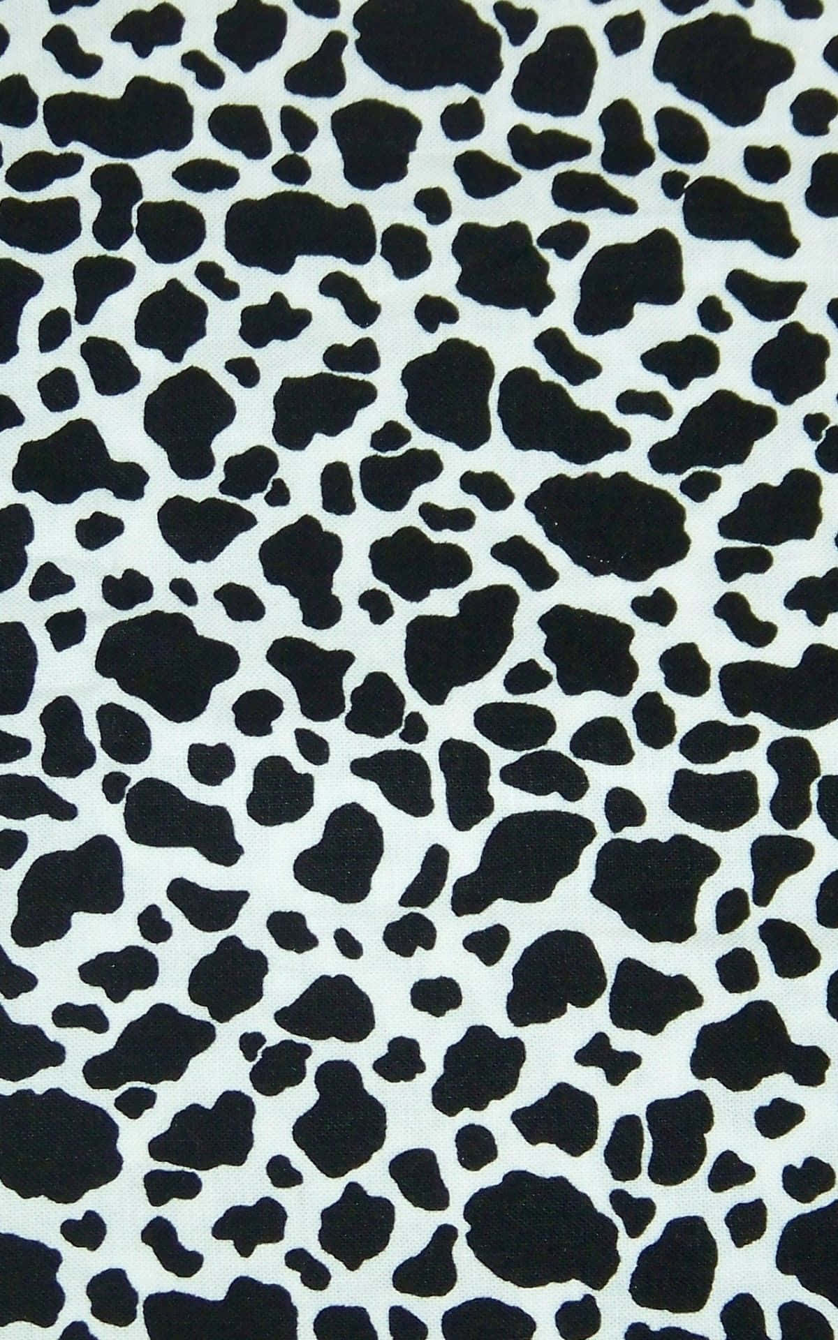 A Black And White Cow Print Fabric Wallpaper