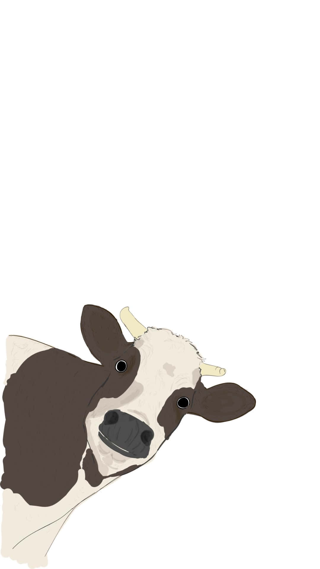 A Cow Is Looking Up Wallpaper