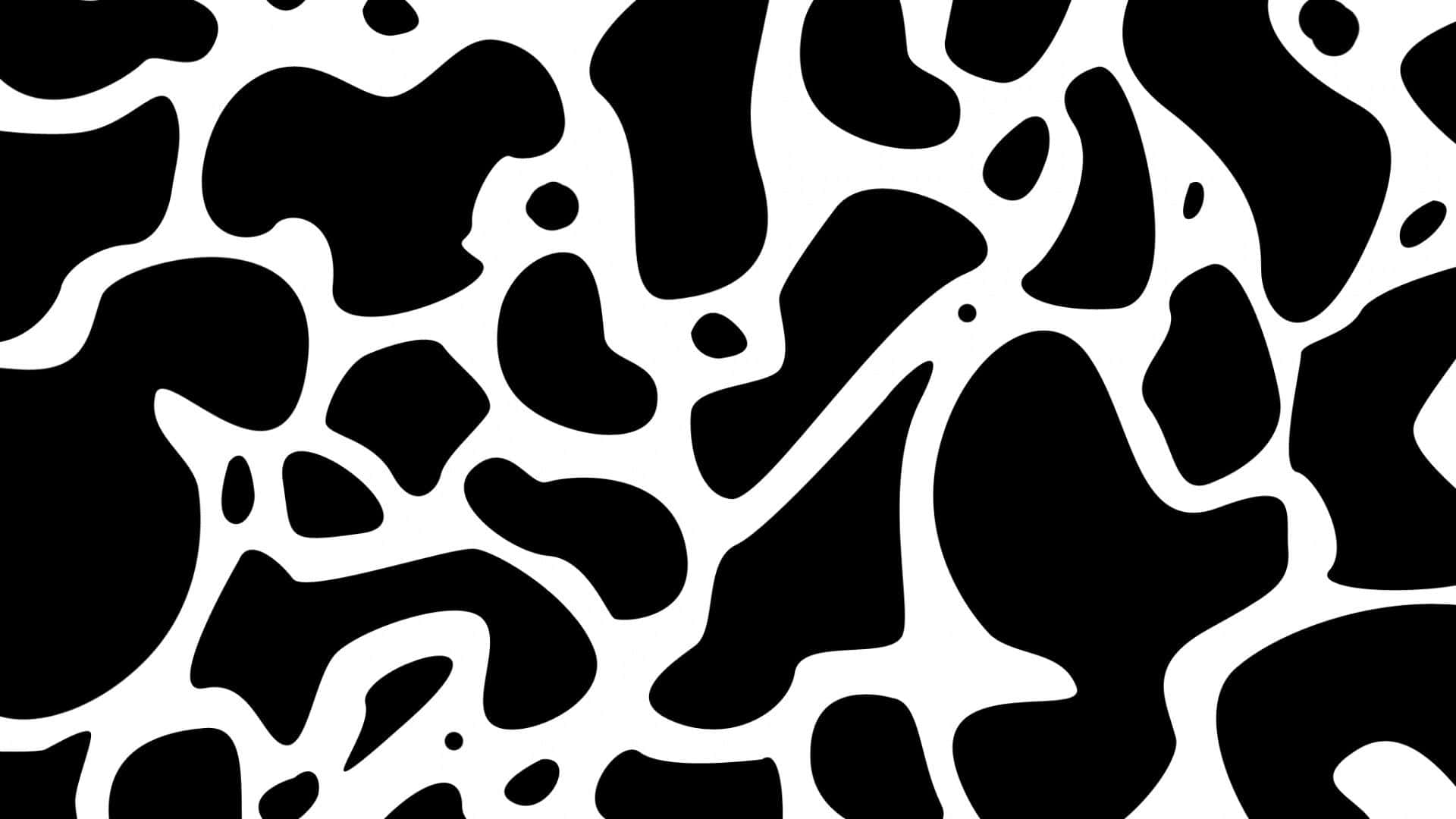 A close-up of a black and white cow-print pattern