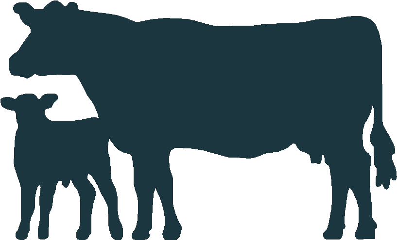 Cowand Calf Silhouette PNG