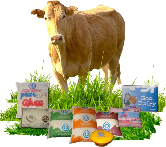 Cowand Dairy Products Display PNG