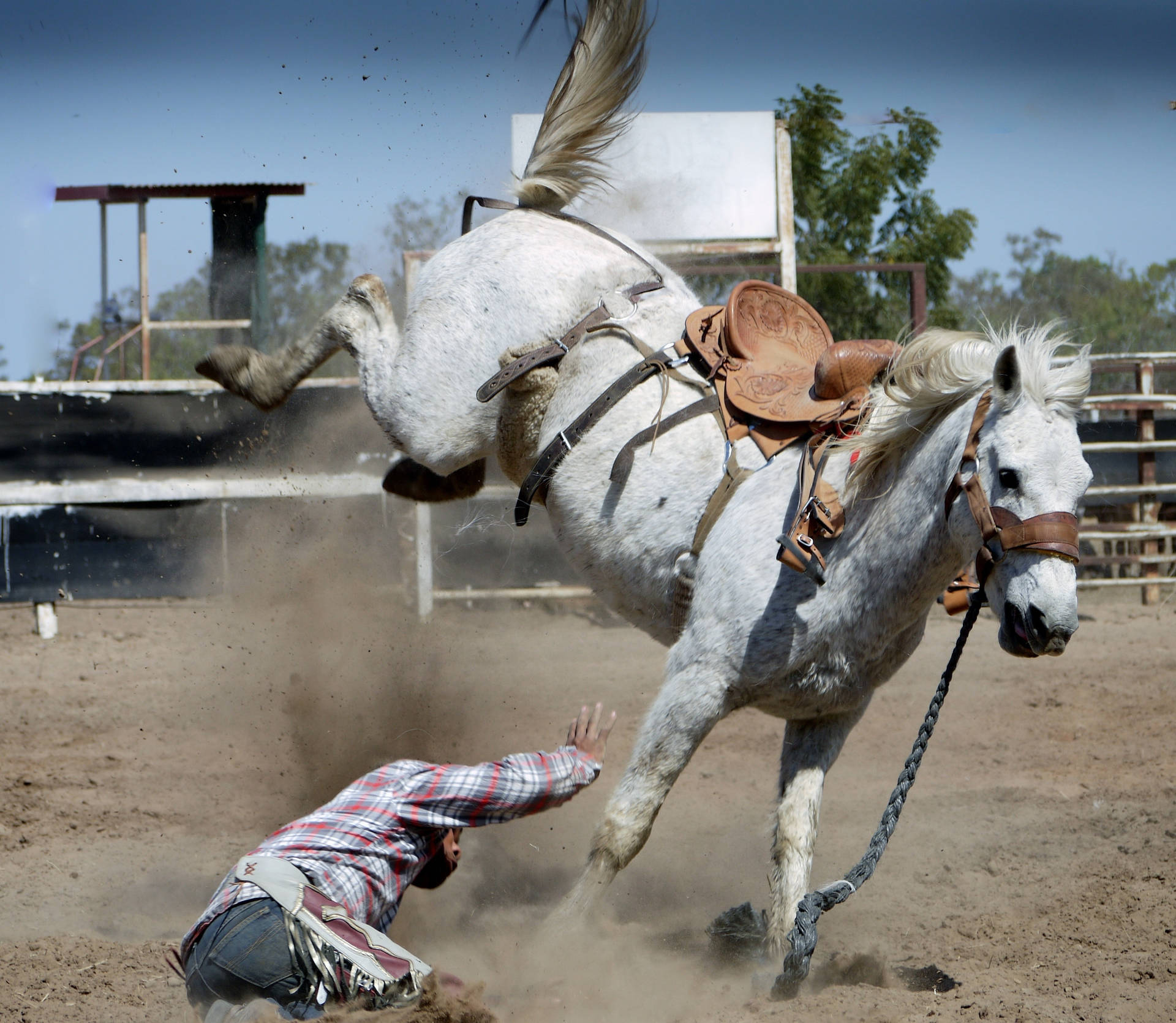 Cowboy Fallit Från Vit Häst Wallpaper