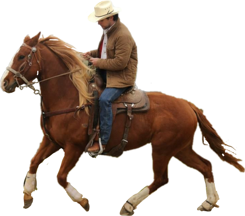 Cowboy Horseback Riding PNG
