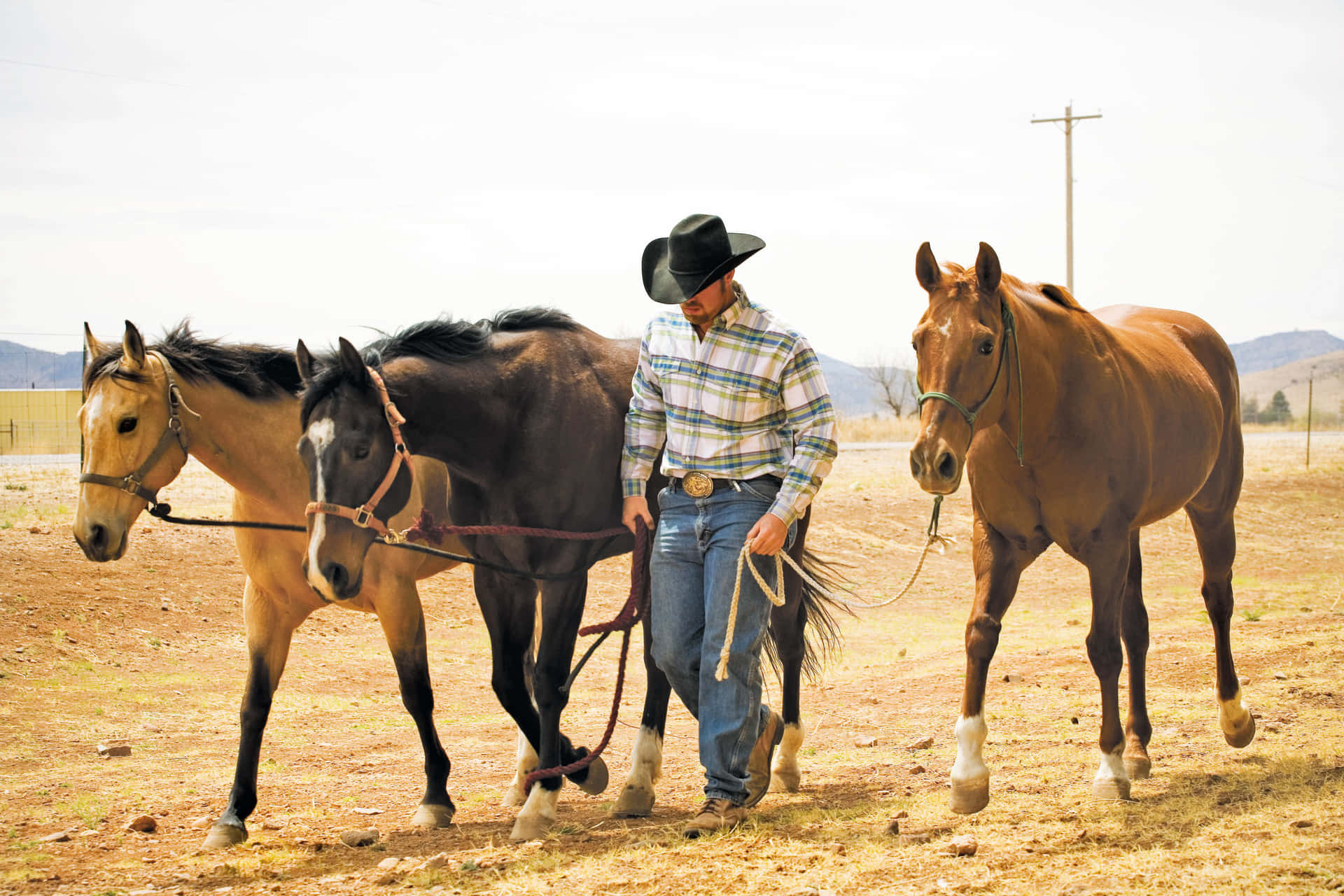 Cowboy Pictures