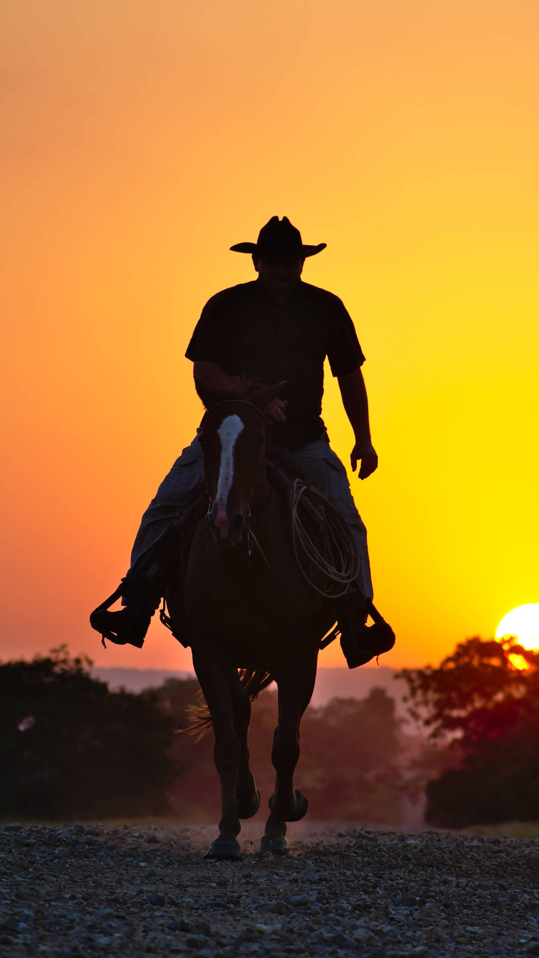 Cowboy Silhouette On Sunset Wallpaper