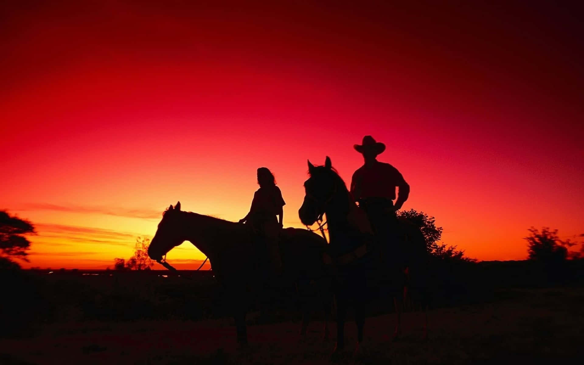Cowboyresistente Montando Un Caballo Salvaje En El Desierto Americano