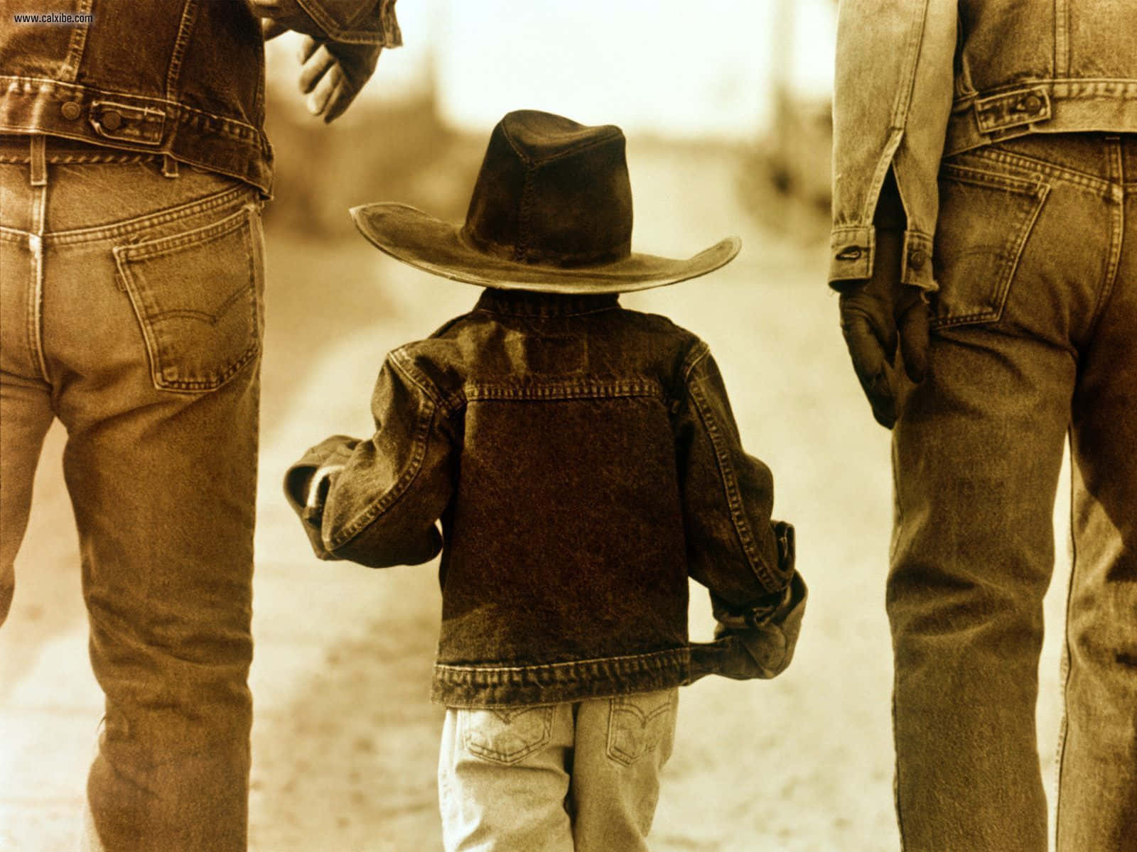 A group of cowboys riding horses across the wild west landscape.