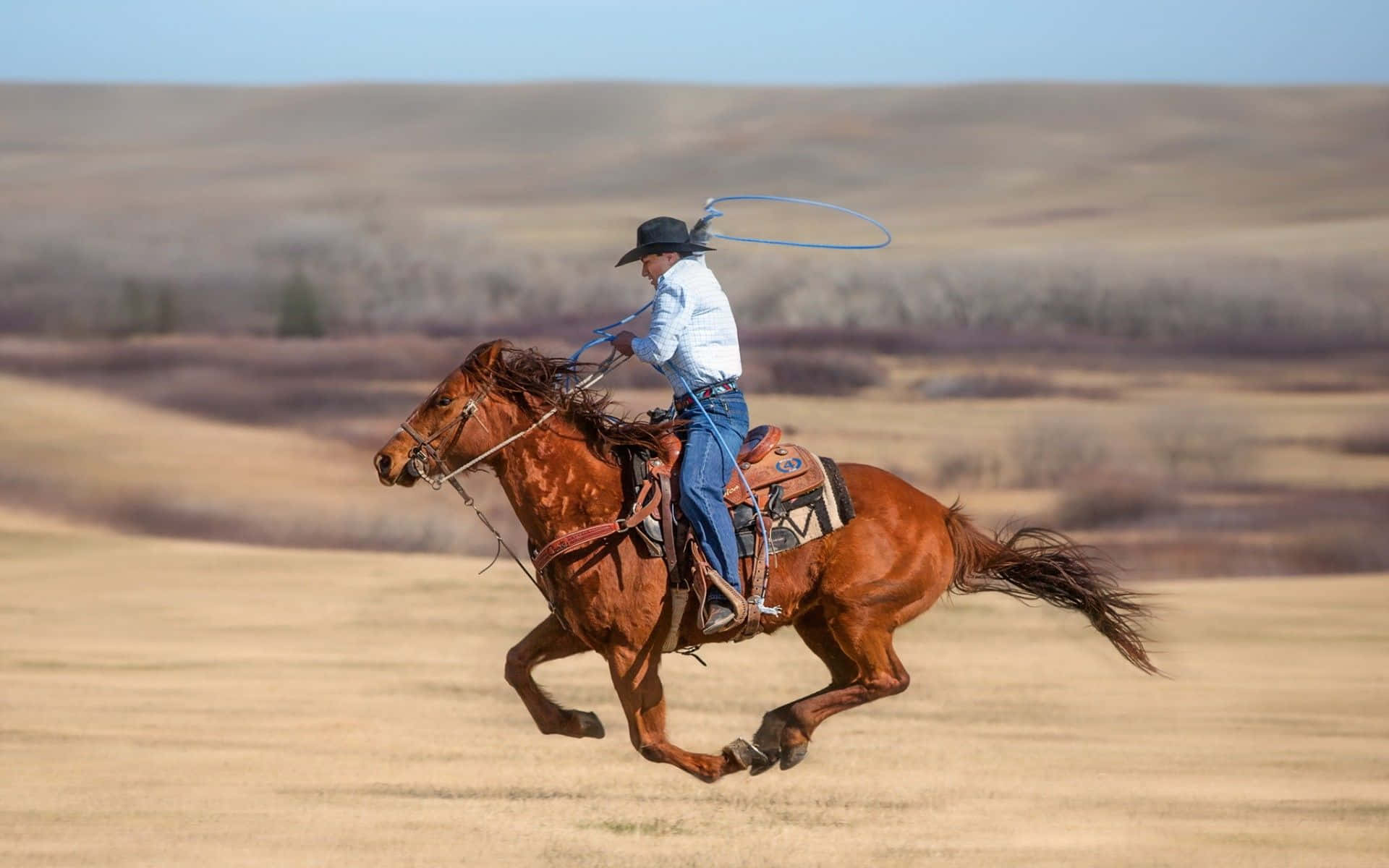 Cowboys Riding Horses at Sunset