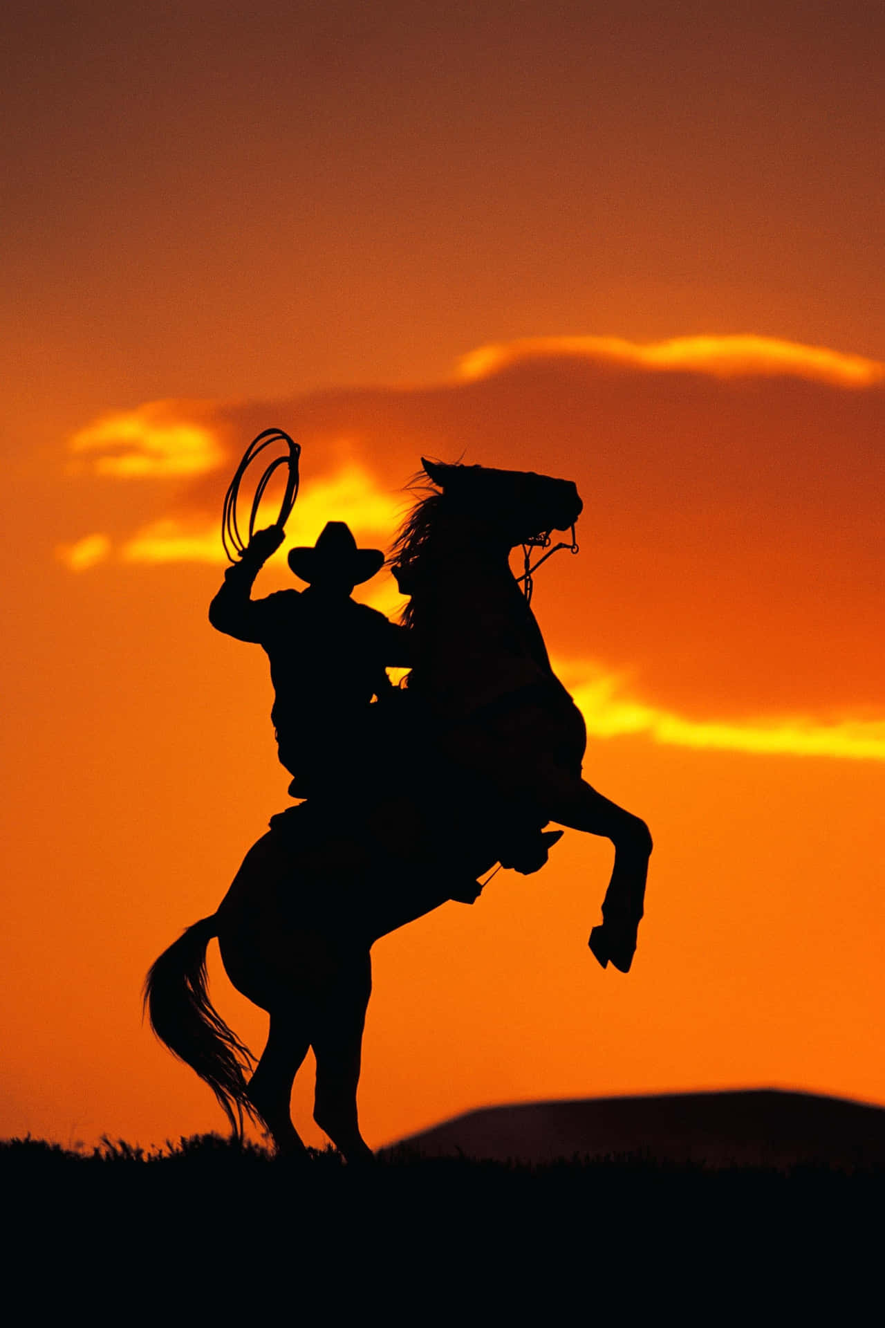 Cowboys riding horses at dusk