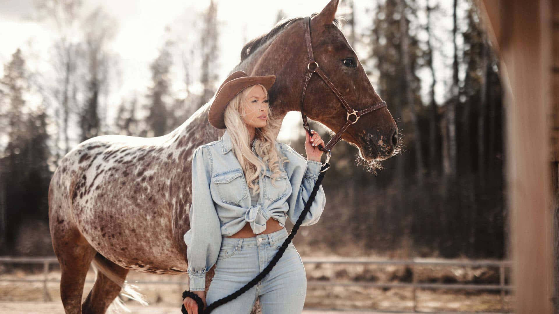 Cowgirl Aesthetic Model Posing With A Horse Wallpaper