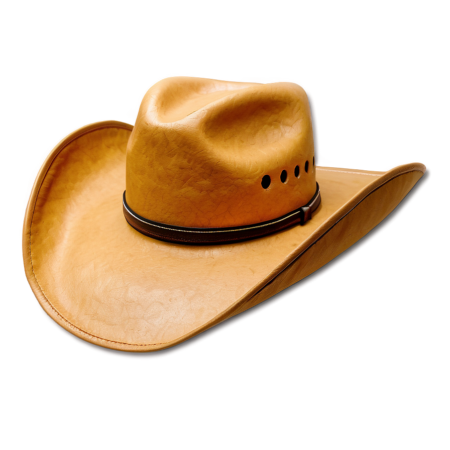 Cowgirl Hat B PNG