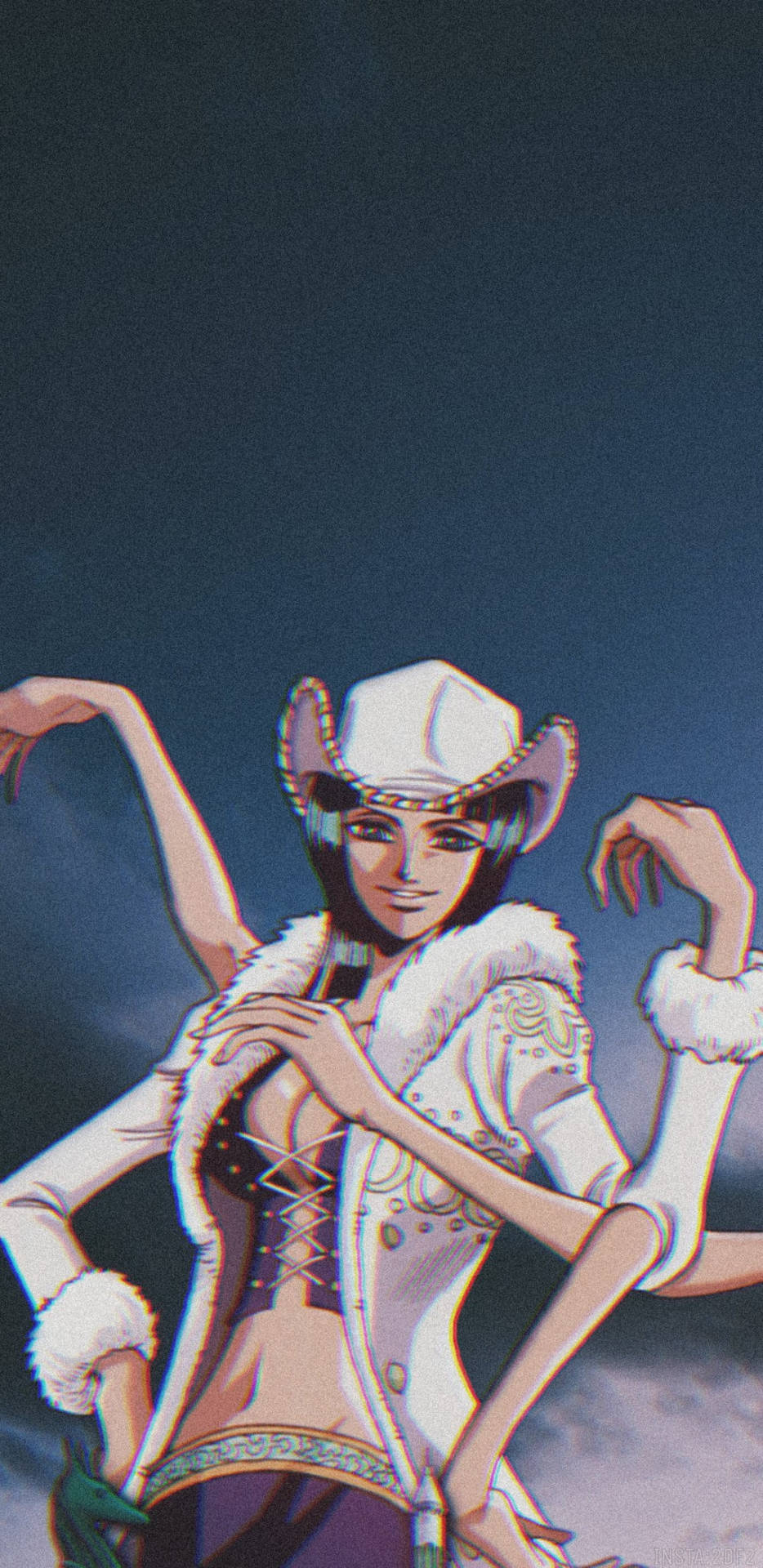 Nico robin cowgirl