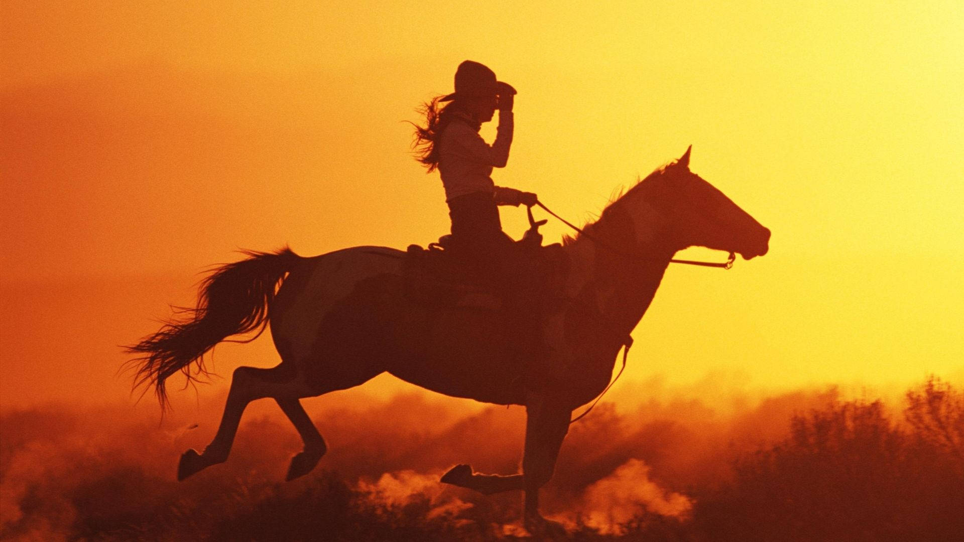 Cowgirl On Horse Wallpaper