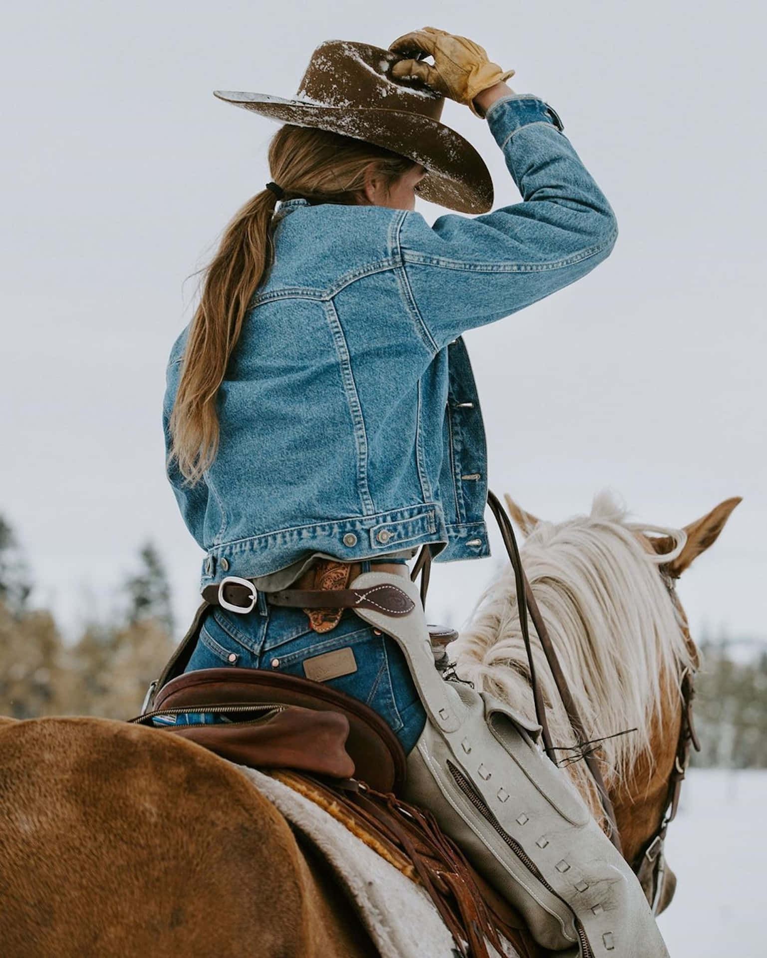 Cowgirl Snowy Ride.jpg Wallpaper