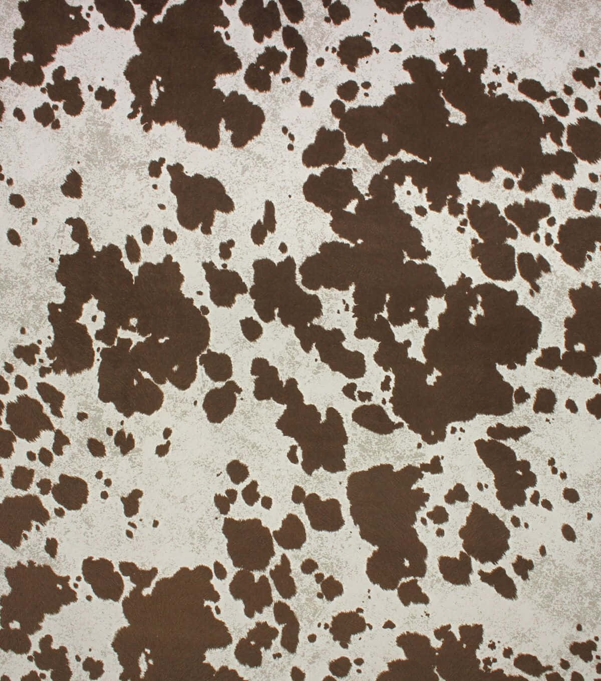 Cowhide Brown Off White Background