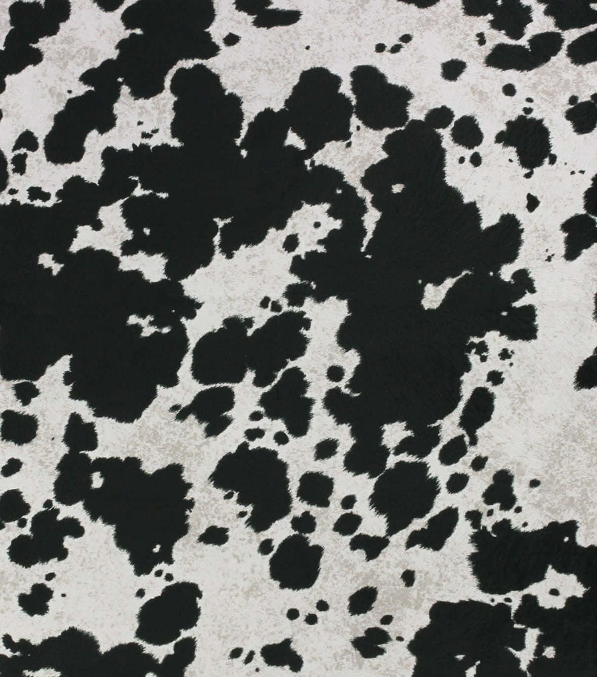 Dalmation Spots White And Black Cowhide Background