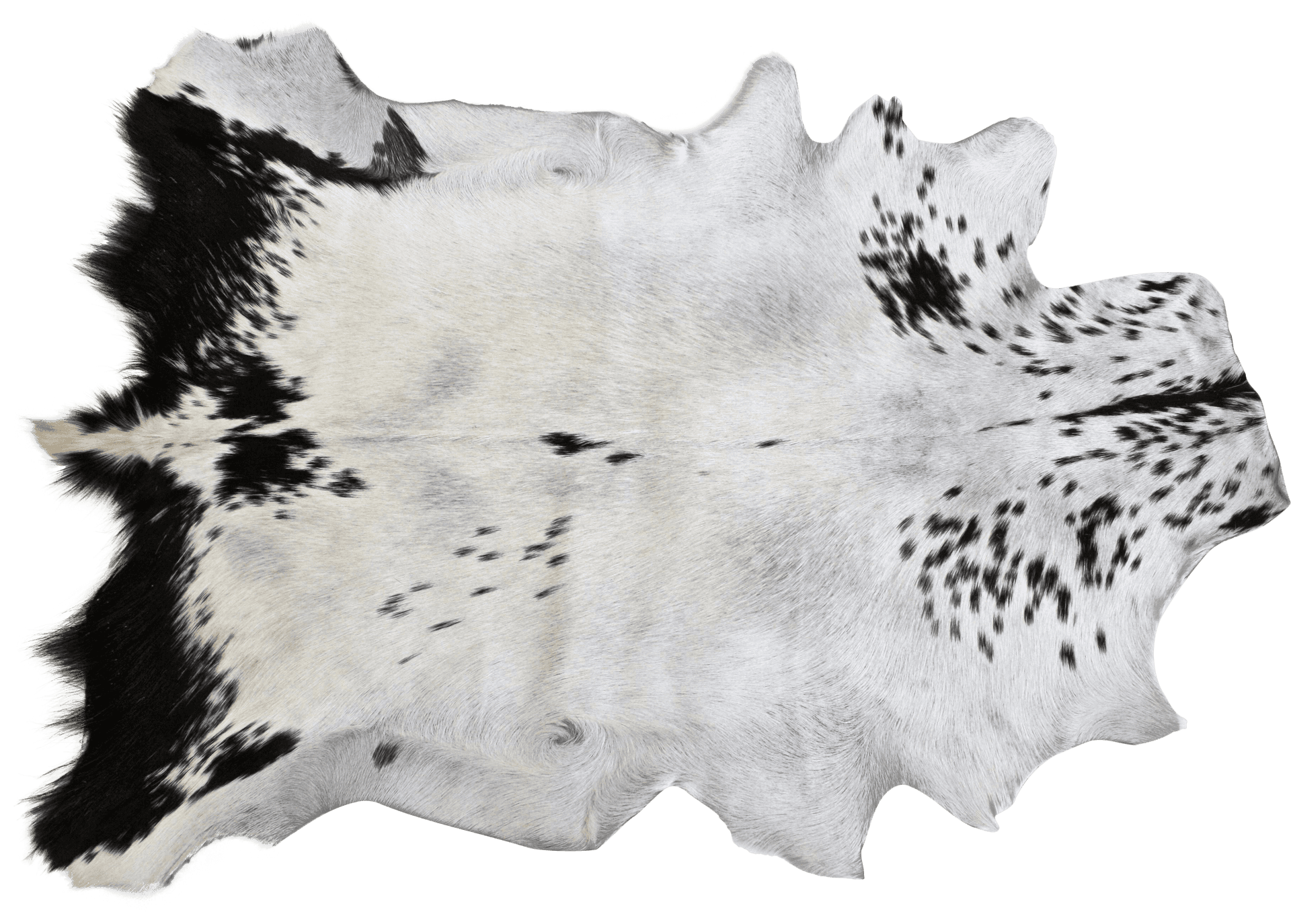 Cowhide Rug Texture PNG