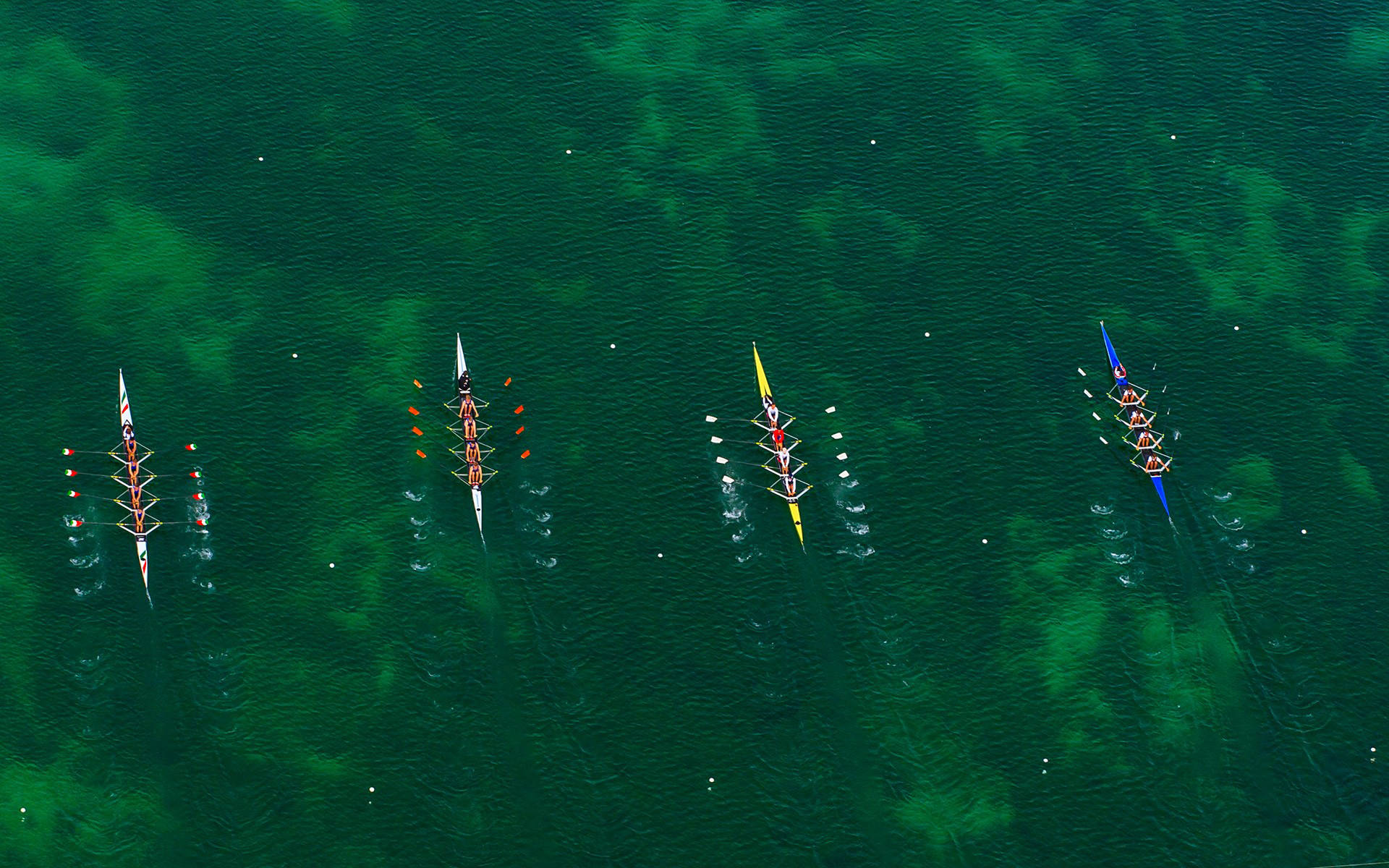 Coxless Four Rowing Competition Wallpaper