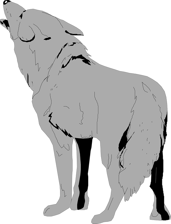 Coyote Howling Silhouette PNG