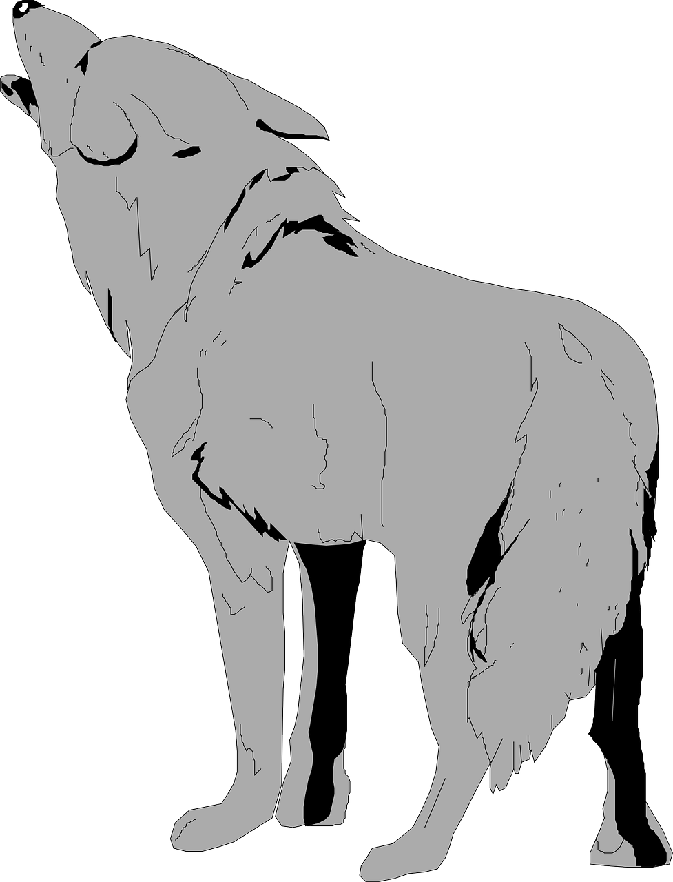 Coyote Silhouette Art PNG