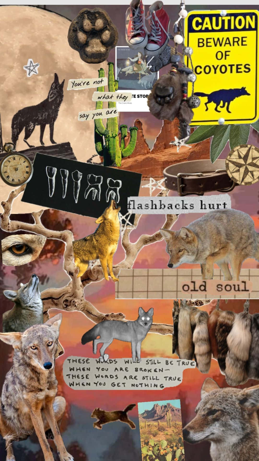 Coyote Themed Collage Art Wallpaper