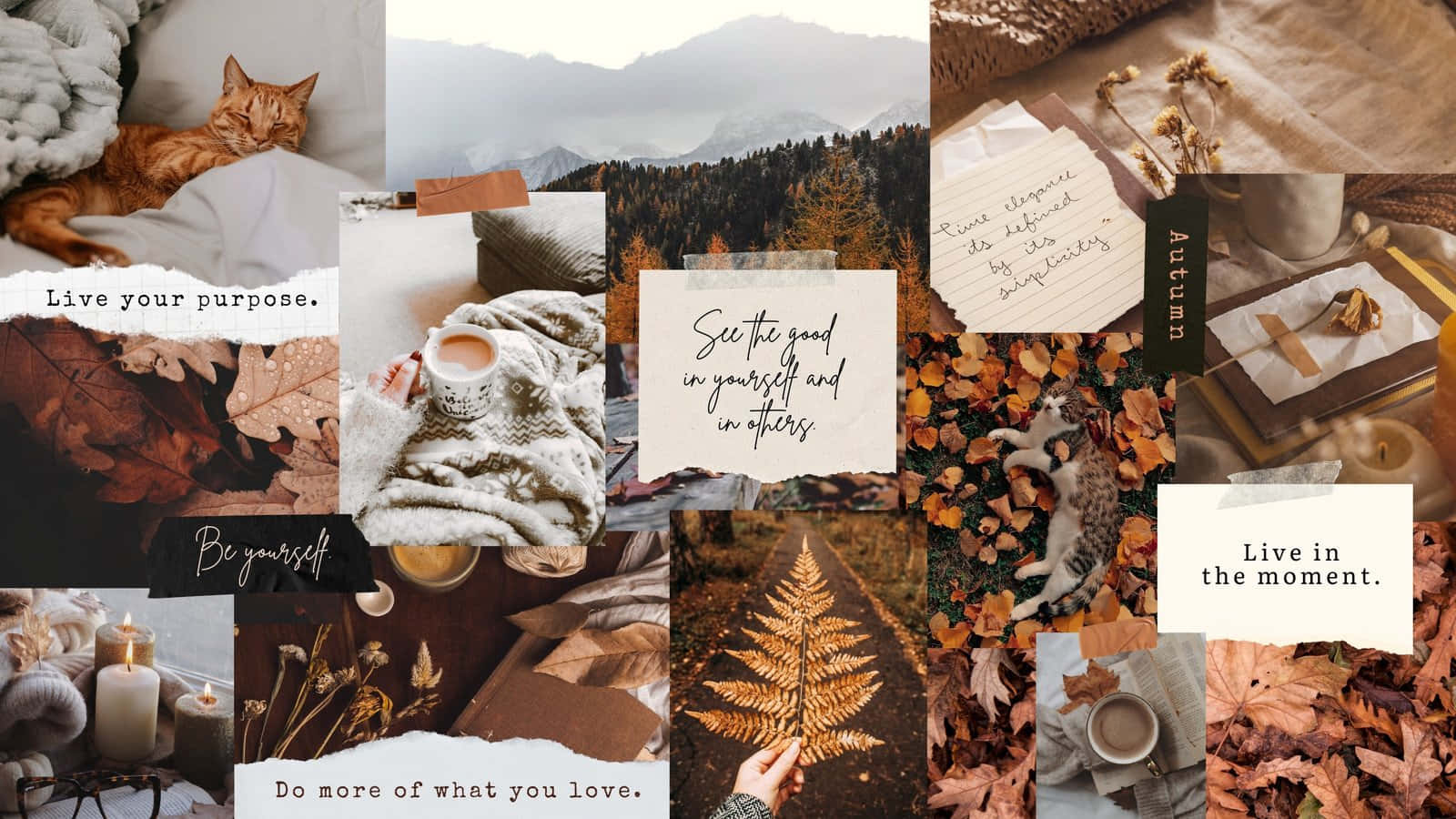 Cozy Aesthetic Collage_ Inspirational Quotes Wallpaper
