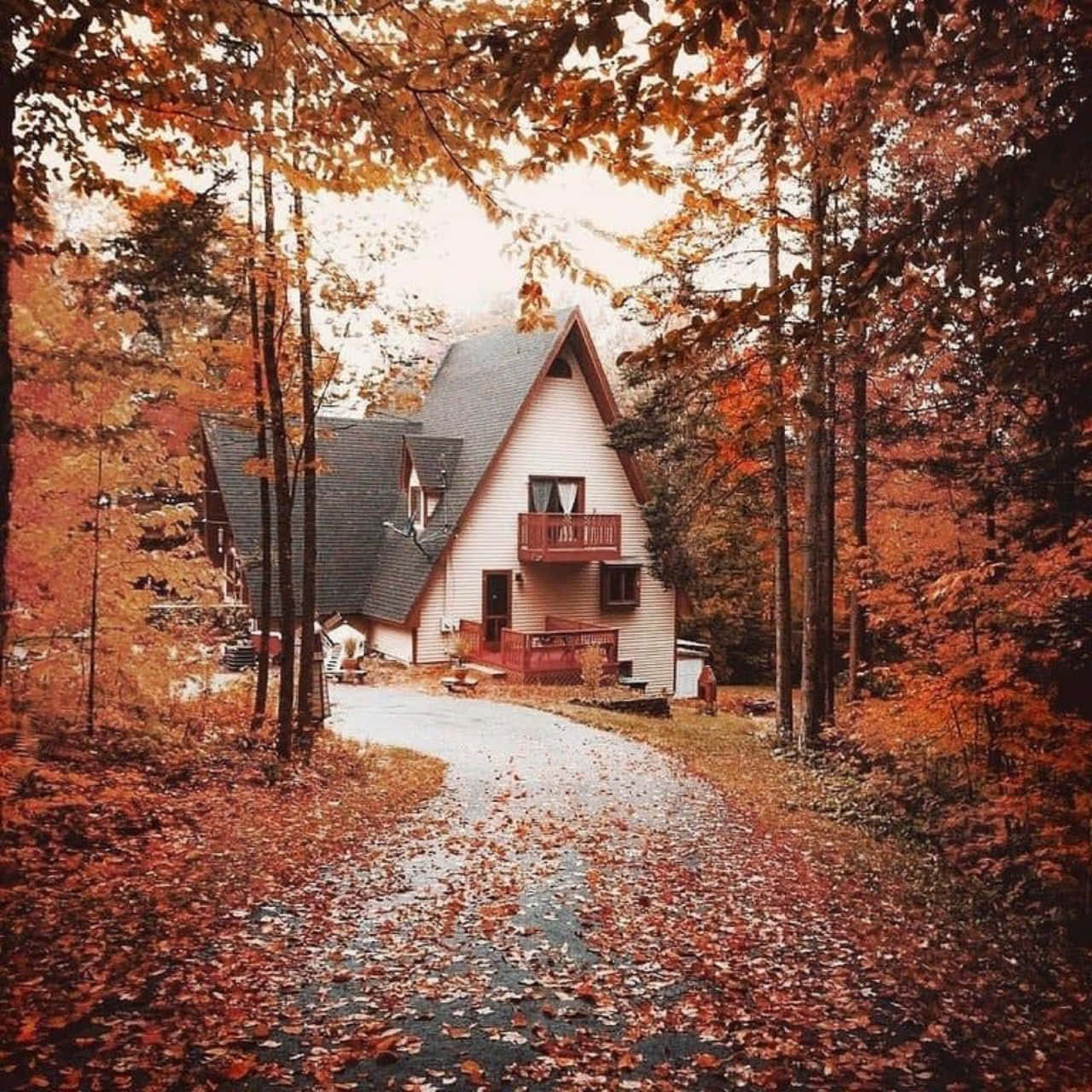 Cozy Autumn Aesthetic Cabin House Wallpaper