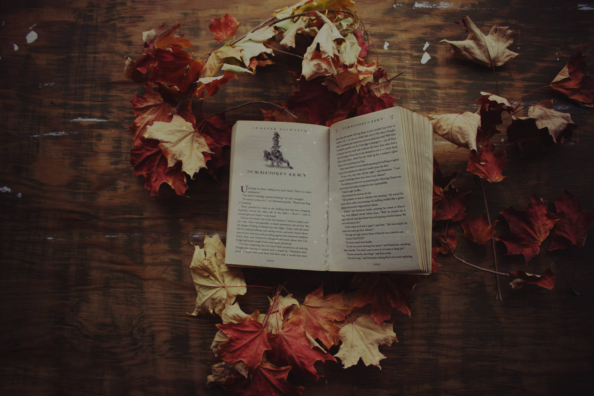 Cozy Autumn Book And Dried Leaves Picture