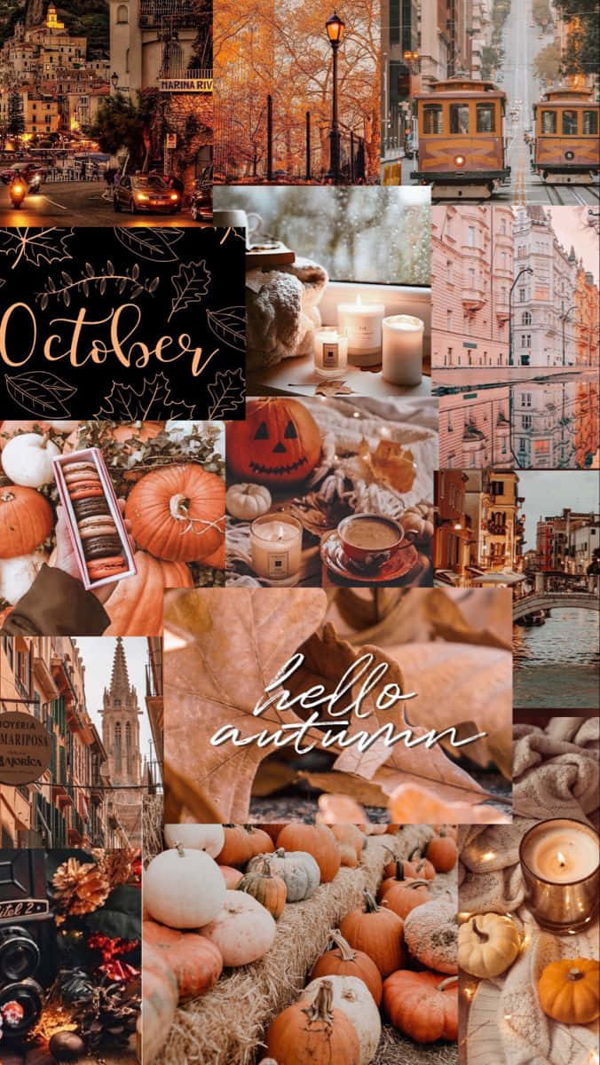 Cozy Autumn Collage Wallpaper