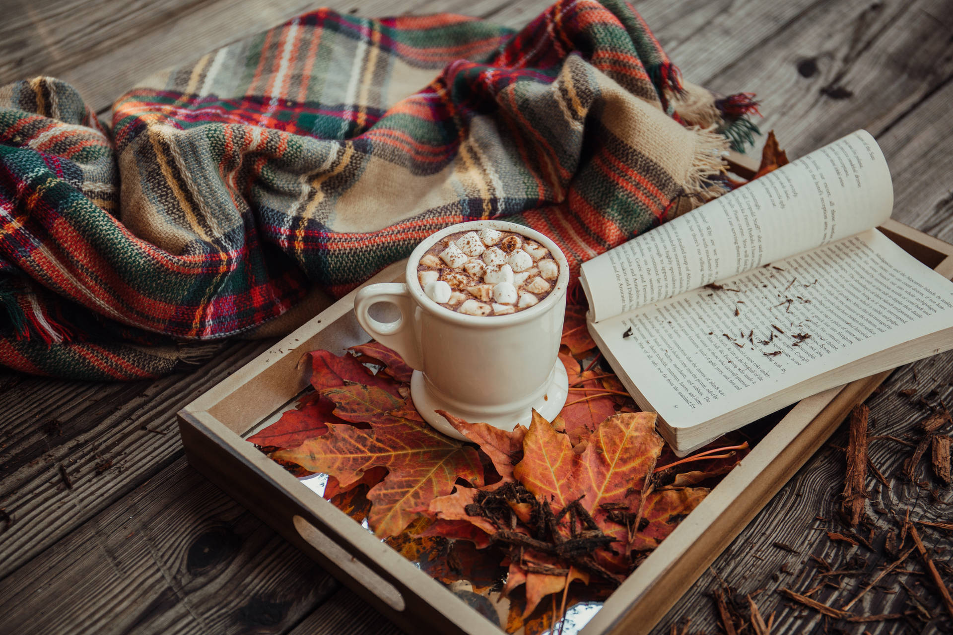 Cozy Autumn Hot Cocoa and Autumn Leaves Wallpaper