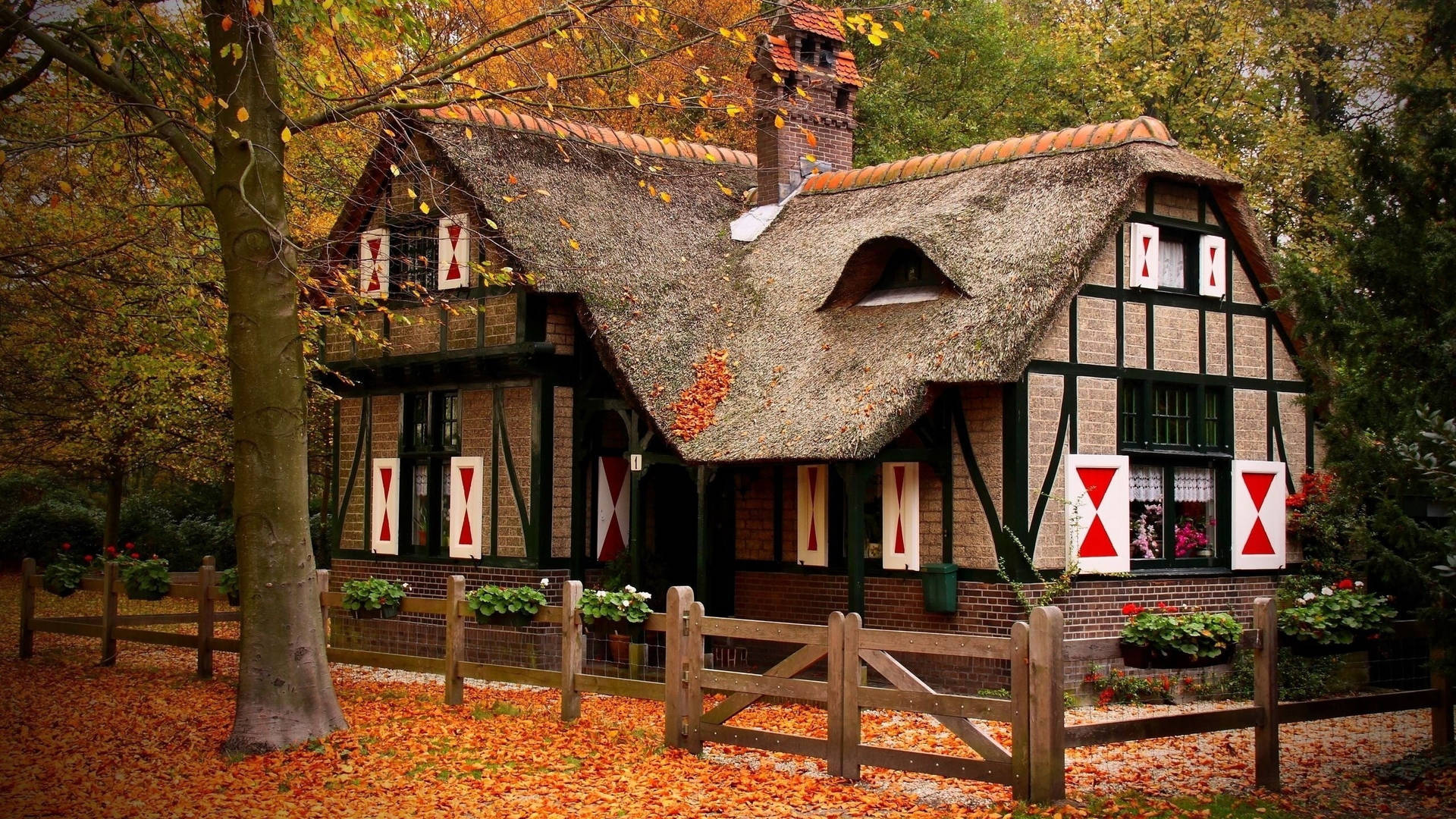 Cozy Autumn House