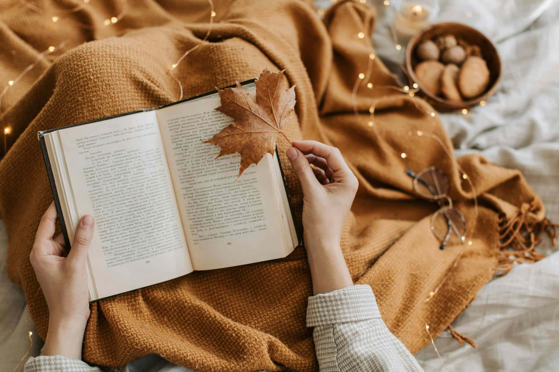 Cozy Autumn Reading Session Wallpaper